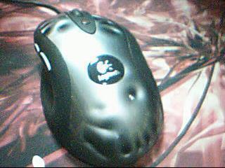 ͼƬ 010.jpg