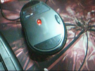 ͼƬ 011.jpg