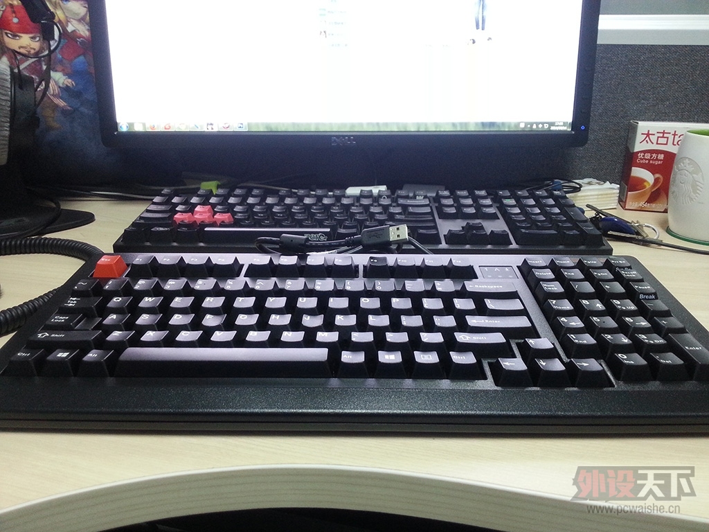 ����+���⣺Cherry1869���� ����ļ��Ÿ�������ү��~