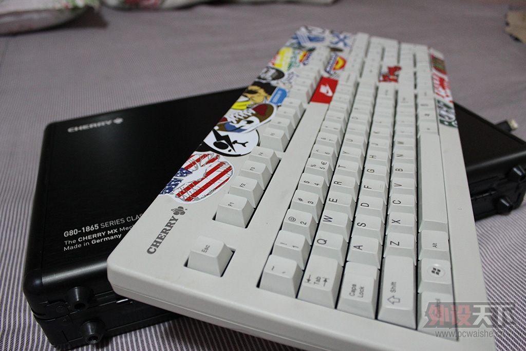 ����+���⣺Cherry1869���� ����ļ��Ÿ�������ү��~