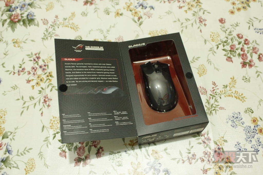 ��һ���ǵ��������߰ɣ���˶Gladius����С���ĵ�