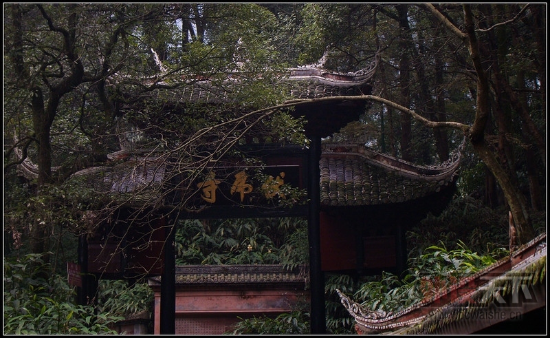 �ȶ���ӴMagicII�������� ����