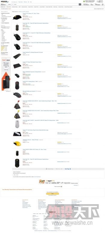 �����£�Ϳ�����䲻�ʱ�����zowie ׿ΰ�������ۺ��ܽ��� �����������