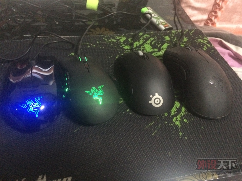 ����������٤�����̹��һֻ����˵ȫ