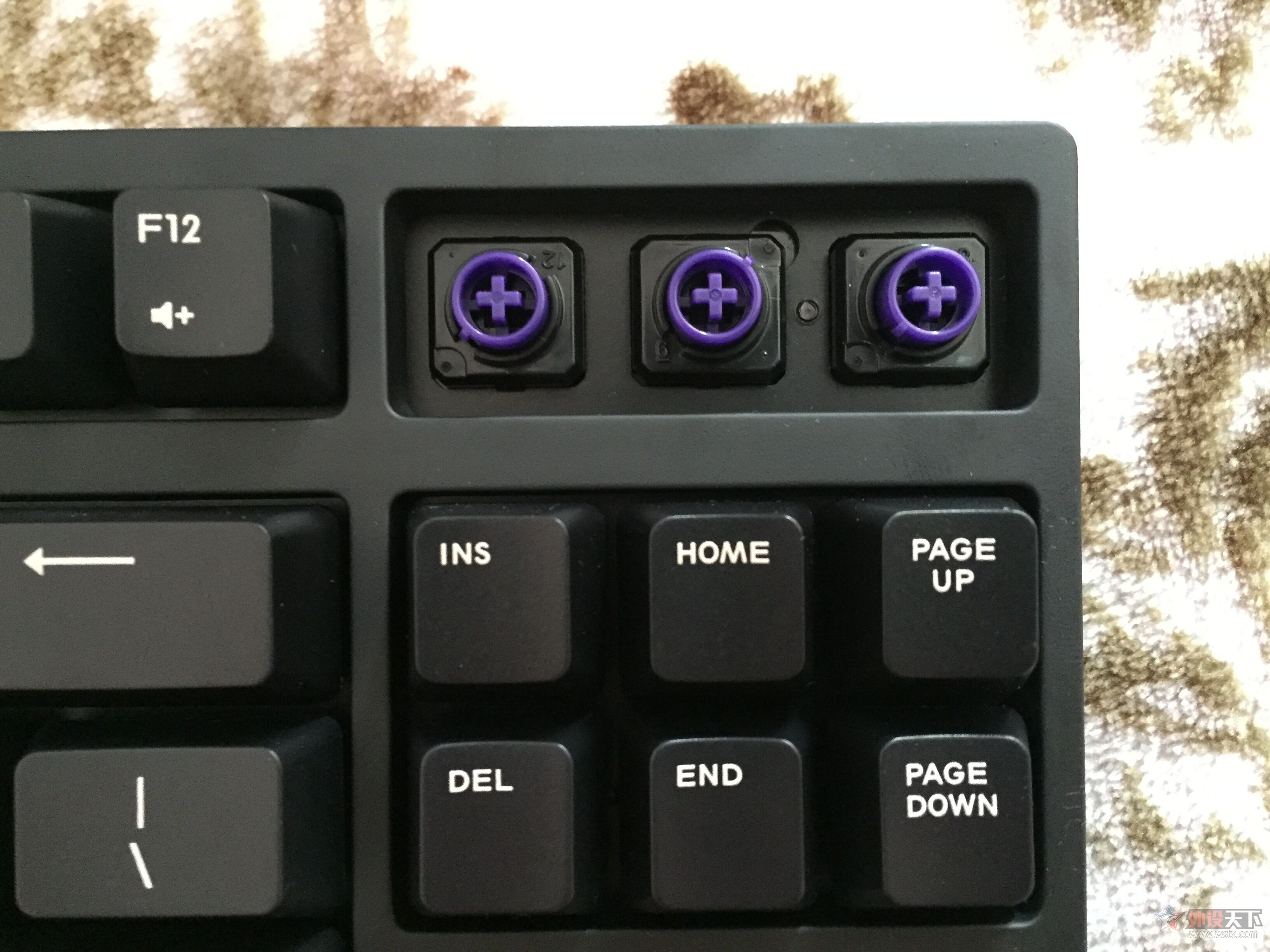 ��ѧ������ �����������ǿ����ĵ�